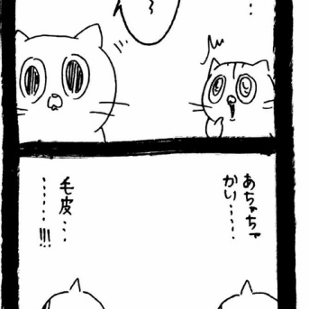 毛皮