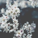 クラウドファンディング〜2025.11〜