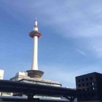 京都府ウォーキング協会 てくてく はるみの写真館