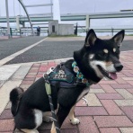 オートクリル　オフィシャルブログ