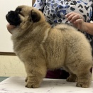 ３歳おめでとう～☆
