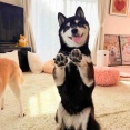 まだ１年、でもずっと前からいるみたい