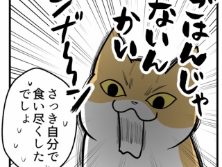 【猫マンガ】真っ先に確認するのは隣のごはん