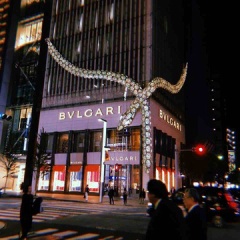 銀座の街が色づき始めています