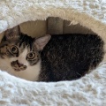 なつちゃん　ちょっと足が出ているよ