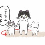 はちわれ絵日記
