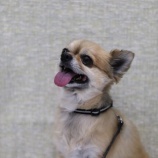 『いきなり触ると怖い？？』の画像