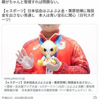 痛いニュース(ﾉ∀`)