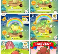 カウシェ🍅アイちゃん収穫🍅