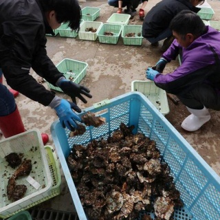 藤井 フミヤ セイコー アストロン 8Xシリーズ ワールドタイム 2016