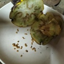 なす🍆、ピーマン🫑　2025