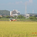 市原市に憲法と地方自治を活かす会