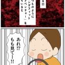 壊れてしまったswitch