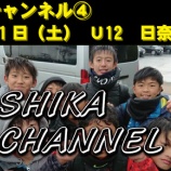 『シカチャンネル④』の画像