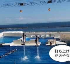 神戸須磨シーワールドへ　後編