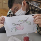 ������✨