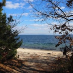 Team_SAVASのブログ