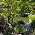 8月5日のお稽古ー茶箱卯の花、花、雪点前