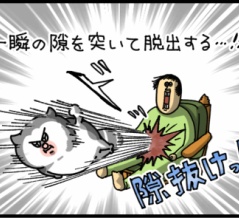 うちの猫の必殺技3選
