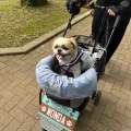 愛犬と一緒に光が丘公園でお散歩。*\(^o^)/*