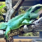 ひとりぼっちのお祭り