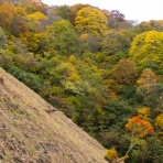 五箇山彩時季　四季合掌 +α