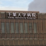 ◆踊るダメ人間日記◆