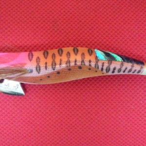 春イカの釣り方とタックルについて No Fishing No Life