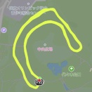 陽射しで元気に(9月14日 快調走13km)