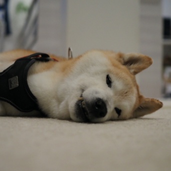 無事お見送り…
