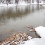 F・Fとしての証