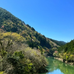 飛騨かなやまの桜　開花状況 2026
