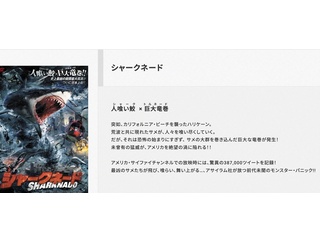 私がビーバーになる時