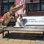 メロディ＆ミニーの写真館