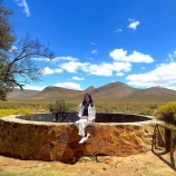 『サファリ』の画像