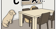 エフ漫画『シャンプーの日』
