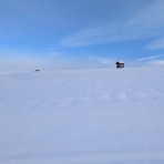 かるかんタイムズ