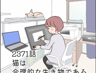 あんこ＆麦2371 猫は合理的な生き物だから