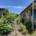 千葉県銚子市(4)、ゴーストタウン化が進む市営住宅