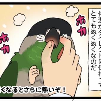 鳥さん、ホカホカのアチチだ