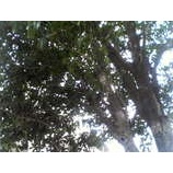 �ض��ںԣ��٤β���