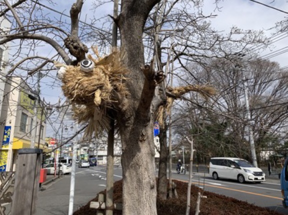 千葉県松戸市、柳原水閘と国分台の辻切り