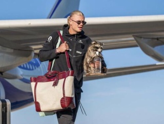 【画像】ハーランド選手、おみやげにアライグマを買って帰国wwwww