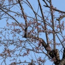 やっぱキレイはウレシイ✨️