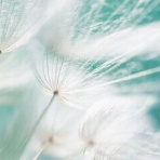 自分自身を大切にできるために、