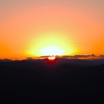 土佐料理　旬の鰹がゆく！