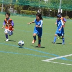 柏井サッカークラブ