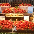 ふくちゃんのアロマな生活