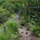 辰之介の日々 三方ヶ峰まで400Mらしい（家に来て4607日目）