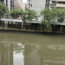 東京地裁知財部の人事